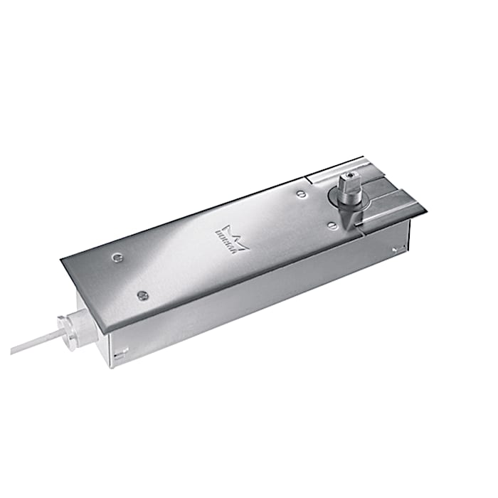 dormakaba BTS 80 EMB floor spring